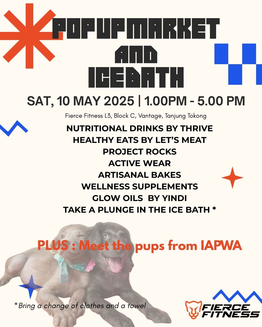 Popup market with dogs and ice bath plunge